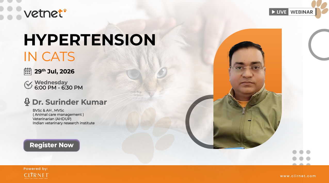 Hypertension in Cats